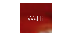 Restaurant Walili - logo